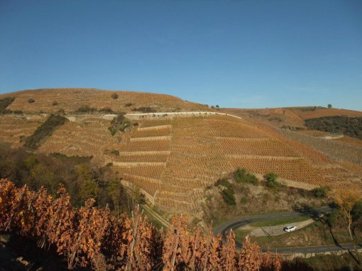 12751534_1577855849203396_797685989_n(1)